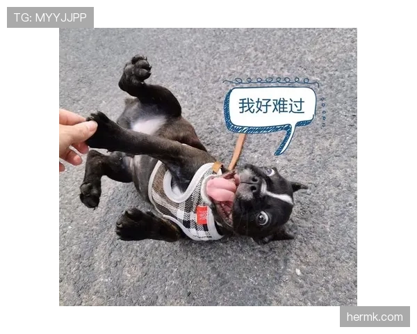 石宇奇训练场那阵，连喝水都像在算计时间，累觉不爱了！